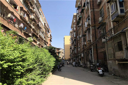 龙泉街道东城名景3室2厅2卫128平米